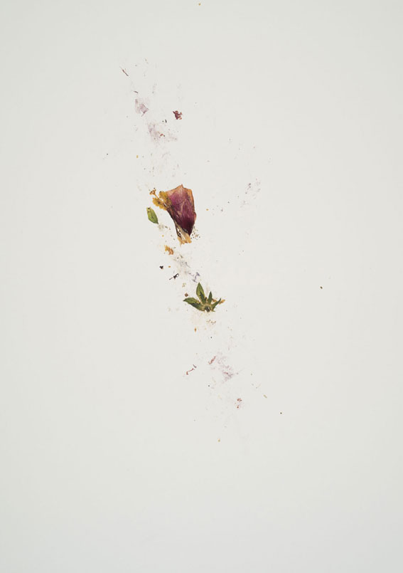 ikebana_images