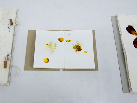blossom traces